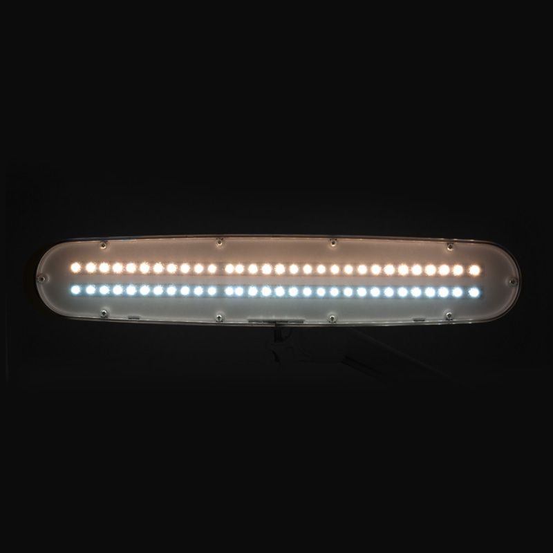 LED Lamp met Instelbare Kleur- en Lichtintensiteit Elegante 801TL Wit