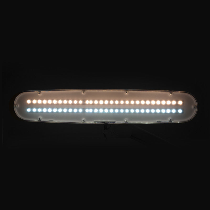 LED Lamp met Klem en Instelbare Kleur- en Lichtintensiteit Elegante 801TL Wit