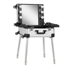 Make-up Koffer Mobiel Station T-27 met Verlichte Spiegel Zilver