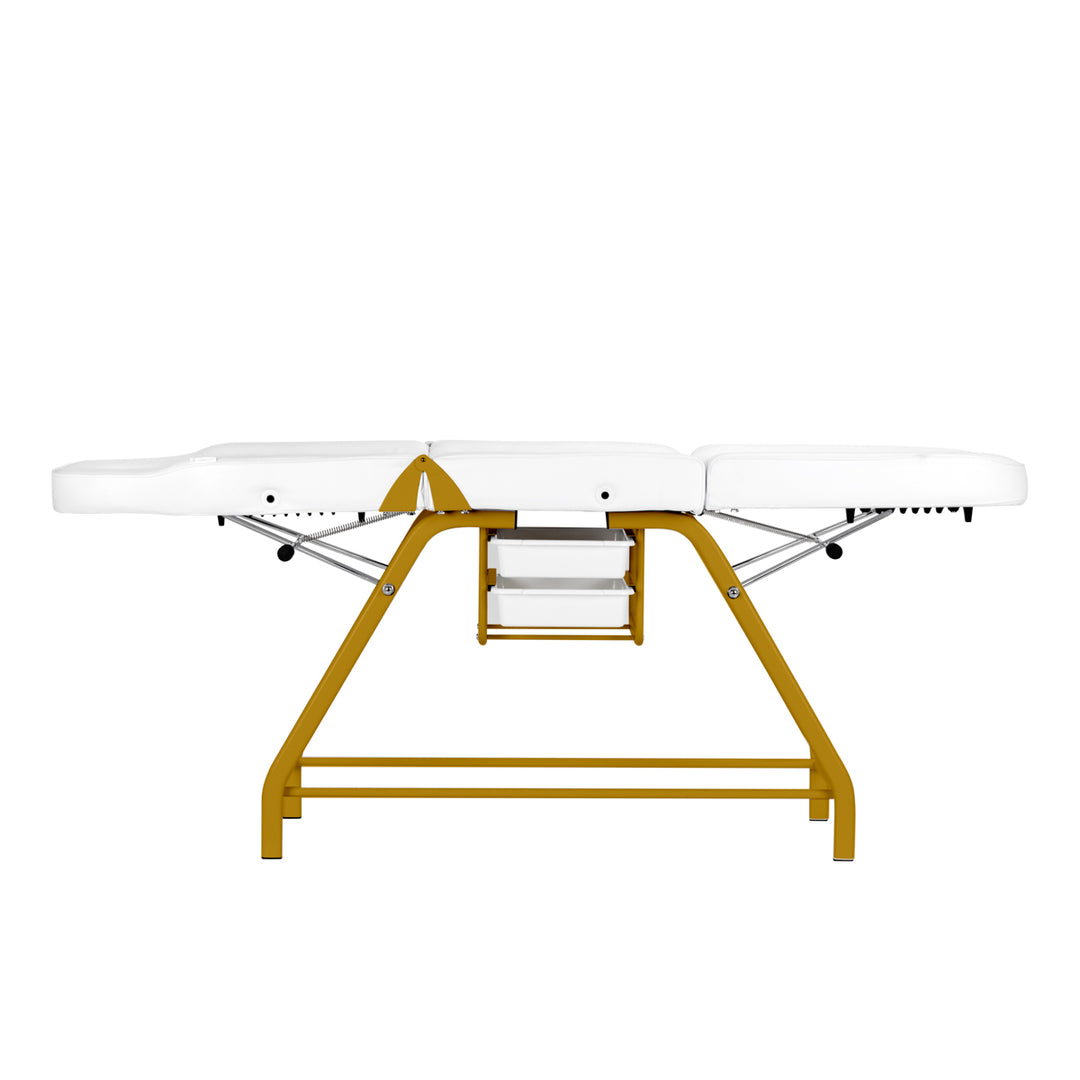 Behandelstoel 557G met Trays Goud-Wit - afbeelding 7