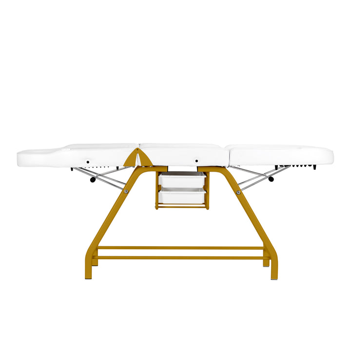 Behandelstoel 557G met Trays Goud-Wit - afbeelding 7
